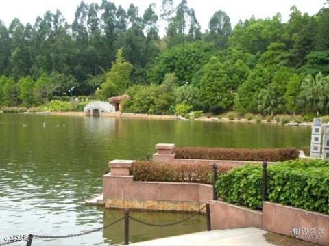 佛山三水森林公园旅游攻略 之 鸳鸯湖