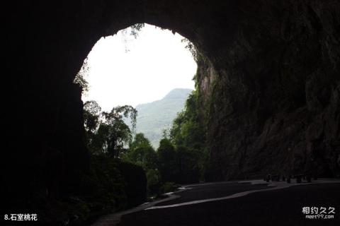 合阳洽川风景名胜区旅游攻略 之 石室桃花