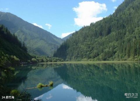 四川九寨沟旅游攻略 之 箭竹海