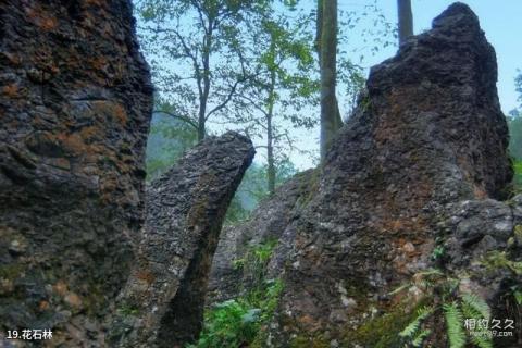 邛崃天台山旅游攻略 之 花石林