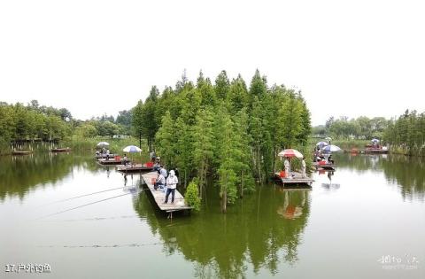 泰州天德湖公园旅游攻略 之 户外钓鱼