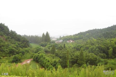 杭州西溪湿地洪园景区旅游攻略