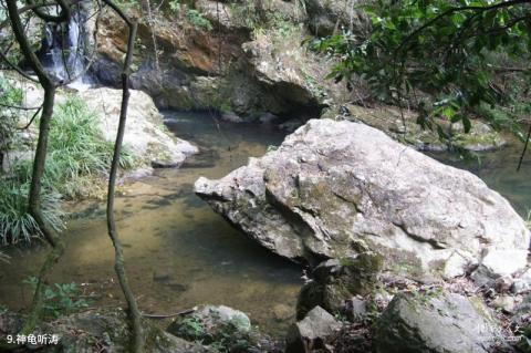 福建云河谷景区旅游攻略 之 神龟听涛