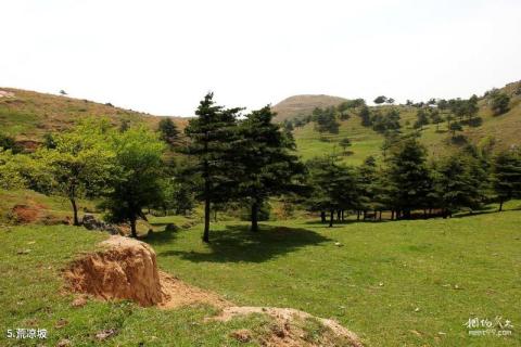 宜昌百里荒高山草原旅游区旅游攻略 之 荒凉坡