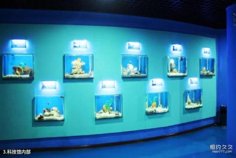 三亚海螺姑娘创意文化园旅游攻略 之 科技馆内部