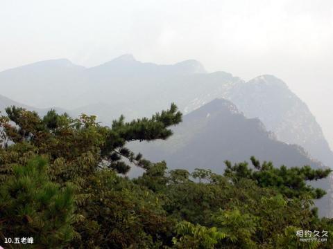 莱芜房干生态旅游区旅游攻略 之 五老峰