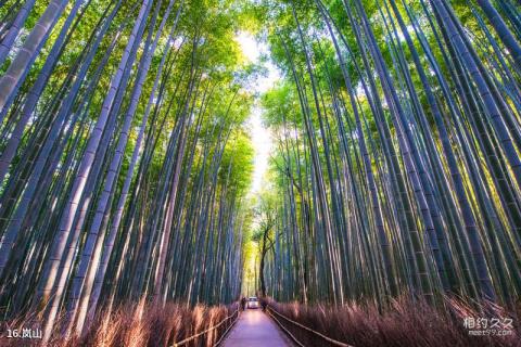 日本京都旅游攻略 之 岚山