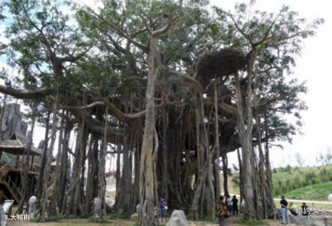 天山神木园旅游攻略