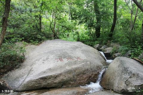 北京松山森林公园旅游攻略 之 顶水鲨