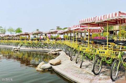宁河七里海国家湿地公园旅游攻略 之 自行车