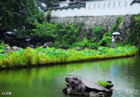 丽水千丝岩旅游攻略 之 石龟