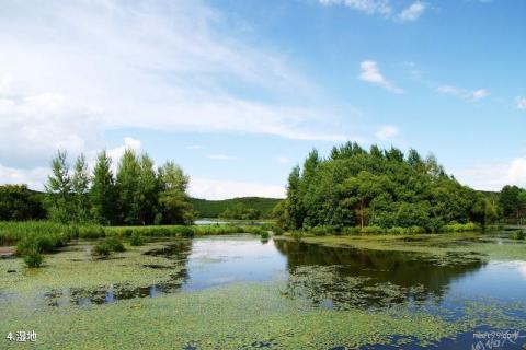 牡丹江紫菱湖旅游区旅游攻略 之 湿地