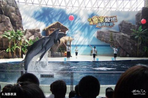 抚顺皇家海洋乐园旅游攻略 之 海豚表演