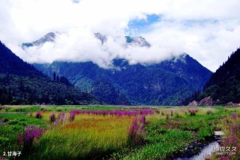 丽江玉龙雪山景区旅游攻略 之 甘海子