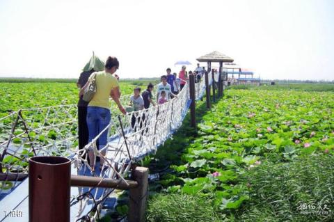 大庆黑鱼湖生态景区旅游攻略 之 吊桥