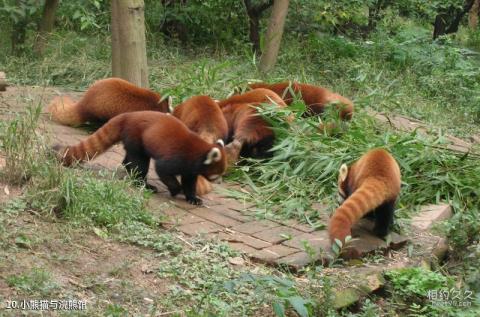 广西猫儿山国家级自然保护区旅游攻略