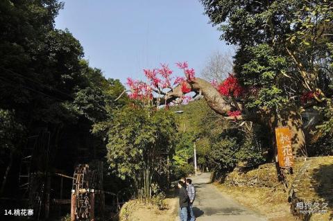 肇庆德庆盘龙峡生态景区旅游攻略 之 桃花寨