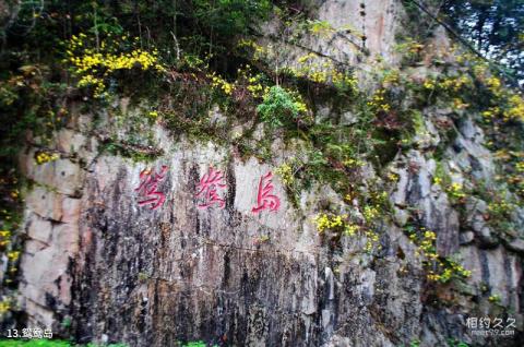 绥宁黄桑自然保护区旅游攻略 之 鸳鸯岛