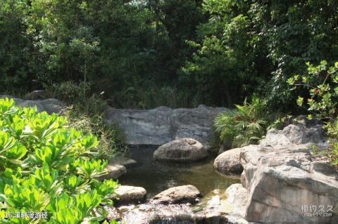 香港湿地公园旅游攻略 之 溪畔漫游径