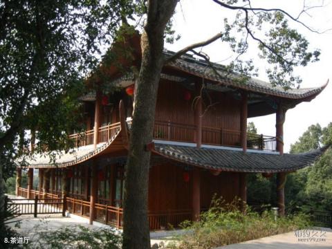 咸宁潜山国家森林公园旅游攻略 之 茶道厅