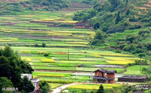 福建培田古村旅游攻略 之 田园风光