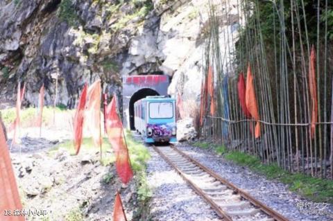 阿坝汶川三江生态区旅游攻略 之 森林小火车