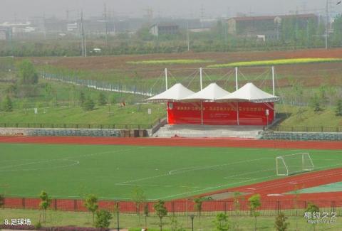 南京医科大学校园风光 之 足球场