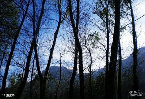 陵川凤凰欢乐谷旅游攻略 之 骆驼峰