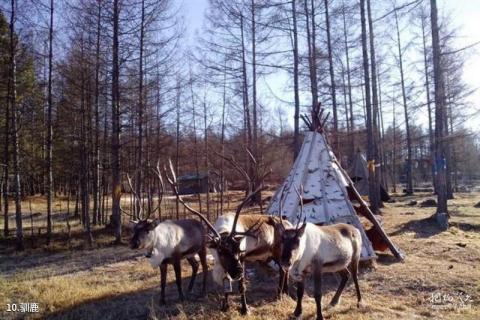 北川维斯特农业休闲旅游区旅游攻略