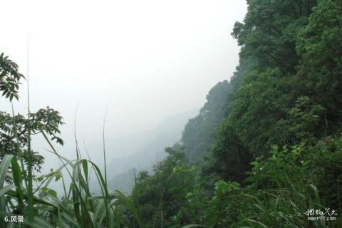 泸州笔架山风景区旅游攻略 之 风景