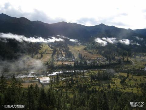 林芝鲁朗林海风景区旅游攻略 之 田园风光观景台