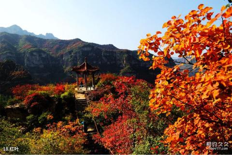 平山紫云山风景区旅游攻略 之 红叶