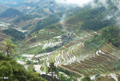 洪江雪峰山风景区旅游攻略 之 梯田