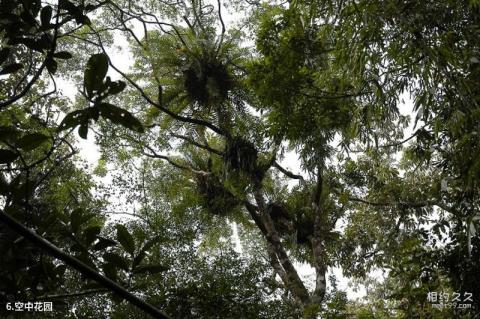 海南吊罗山国家森林公园旅游攻略 之 空中花园