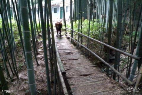 遵义大板水国家森林公园旅游攻略 之 竹桥