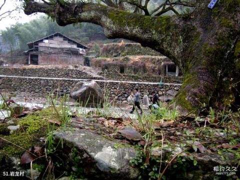 浙江楠溪江旅游攻略 之 岩龙村