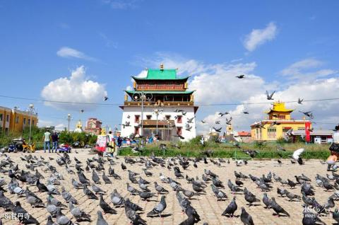 蒙古乌兰巴托旅游攻略 之 甘丹寺