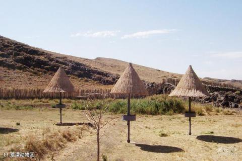 新疆天山野生动物园旅游攻略 之 荒漠动物区