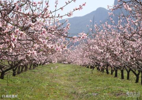 仙居官坑风景区旅游攻略 之 桃花盛开