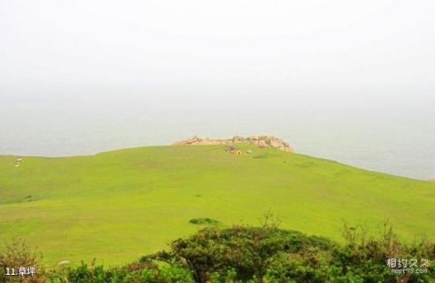 温州洞头风景名胜区旅游攻略 之 草坪