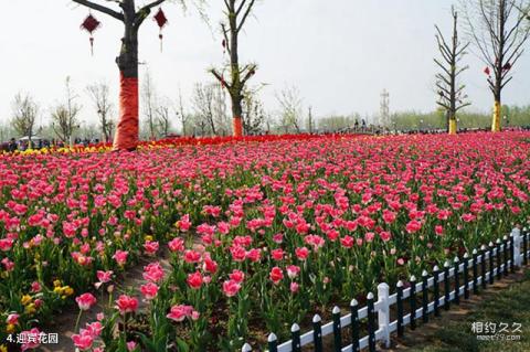 大丰荷兰花海旅游攻略 之 迎宾花园