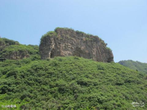 平谷老象峰景区旅游攻略 之 山岭密林