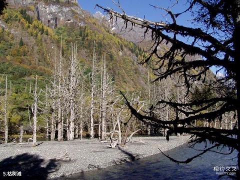 四姑娘山风景区旅游攻略 之 枯树滩