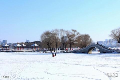 长春南湖公园旅游攻略 之 雪景