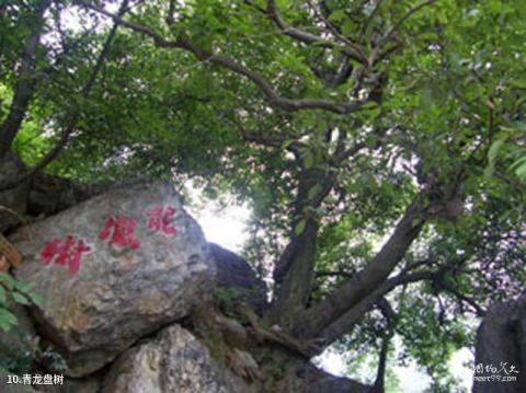 谷城南河小三峡旅游攻略 之 青龙盘树