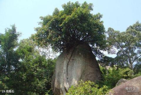 福建九候山风景区旅游攻略 之 花瓶石