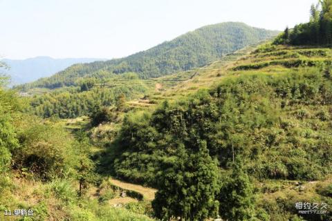 浙江云和梯田旅游攻略 之 望鹤台