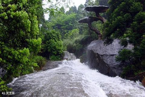 衡阳南岳衡山旅游区旅游攻略 之 灵芝泉