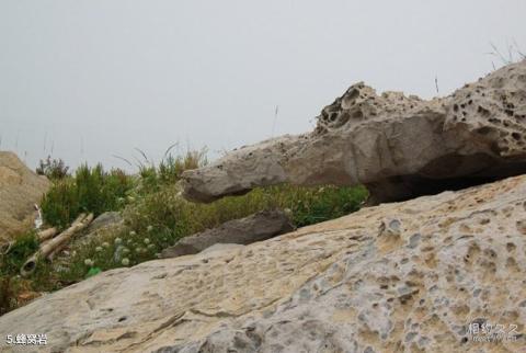 连云港市高公岛风景游览区旅游攻略 之 蜂窝岩