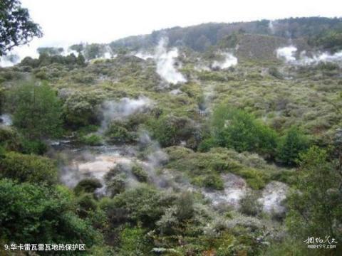 新西兰罗托鲁阿旅游攻略 之 华卡雷瓦雷瓦地热保护区